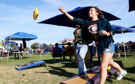 Brewfest patrons enjoyed games on an almost perfect summer day in the Kings Lions Park.